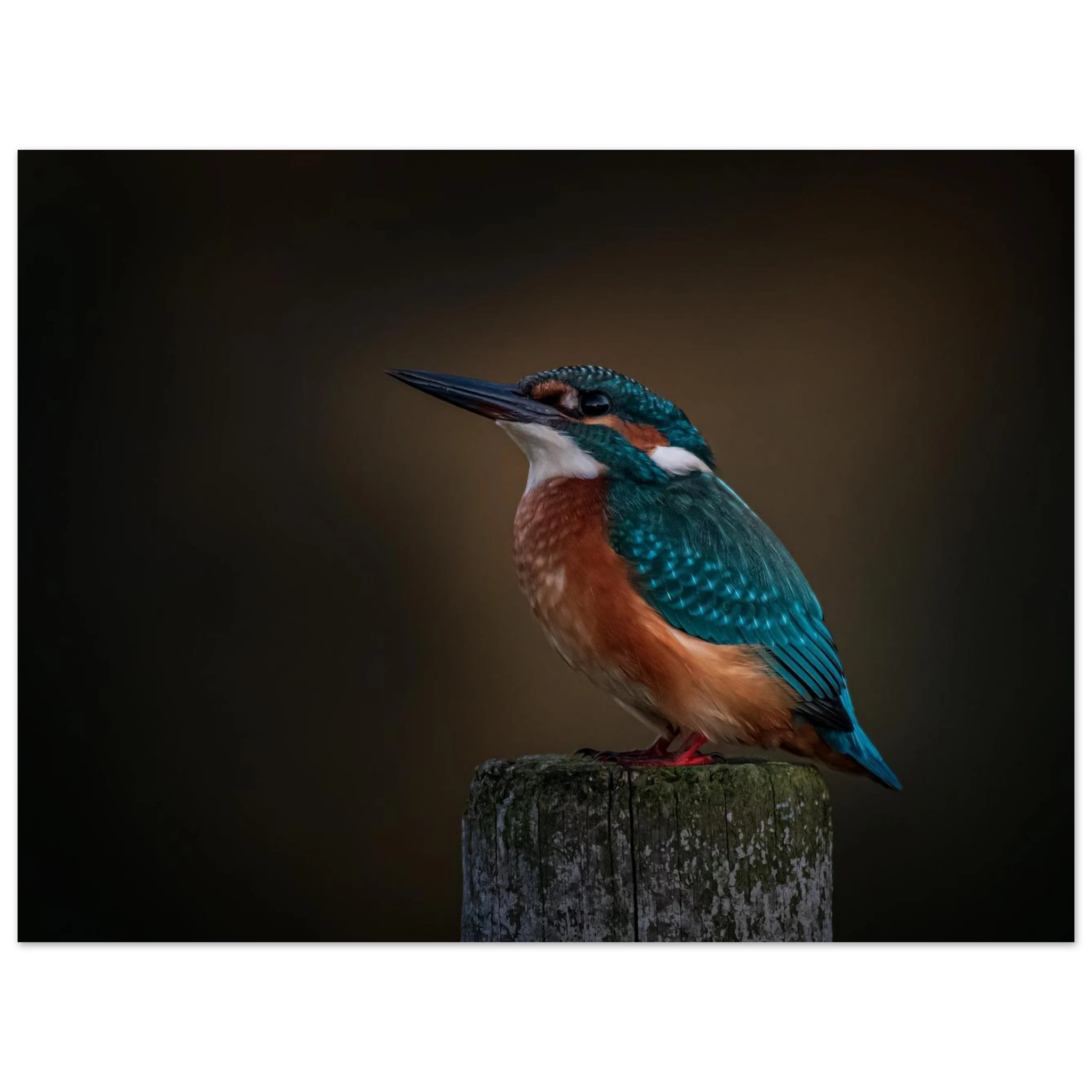 00169118-ab7e-404c-8a9e-bb8b8c9c1621