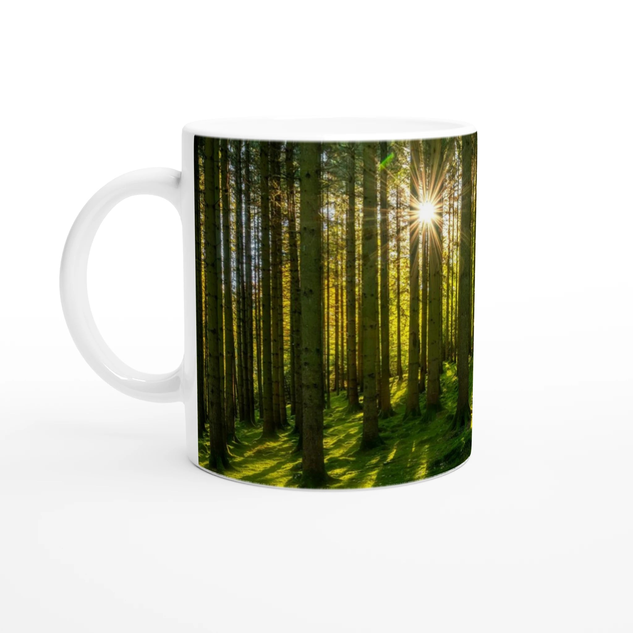 4bc1bff1-ffe4-447c-9c33-e8de6f91f48b