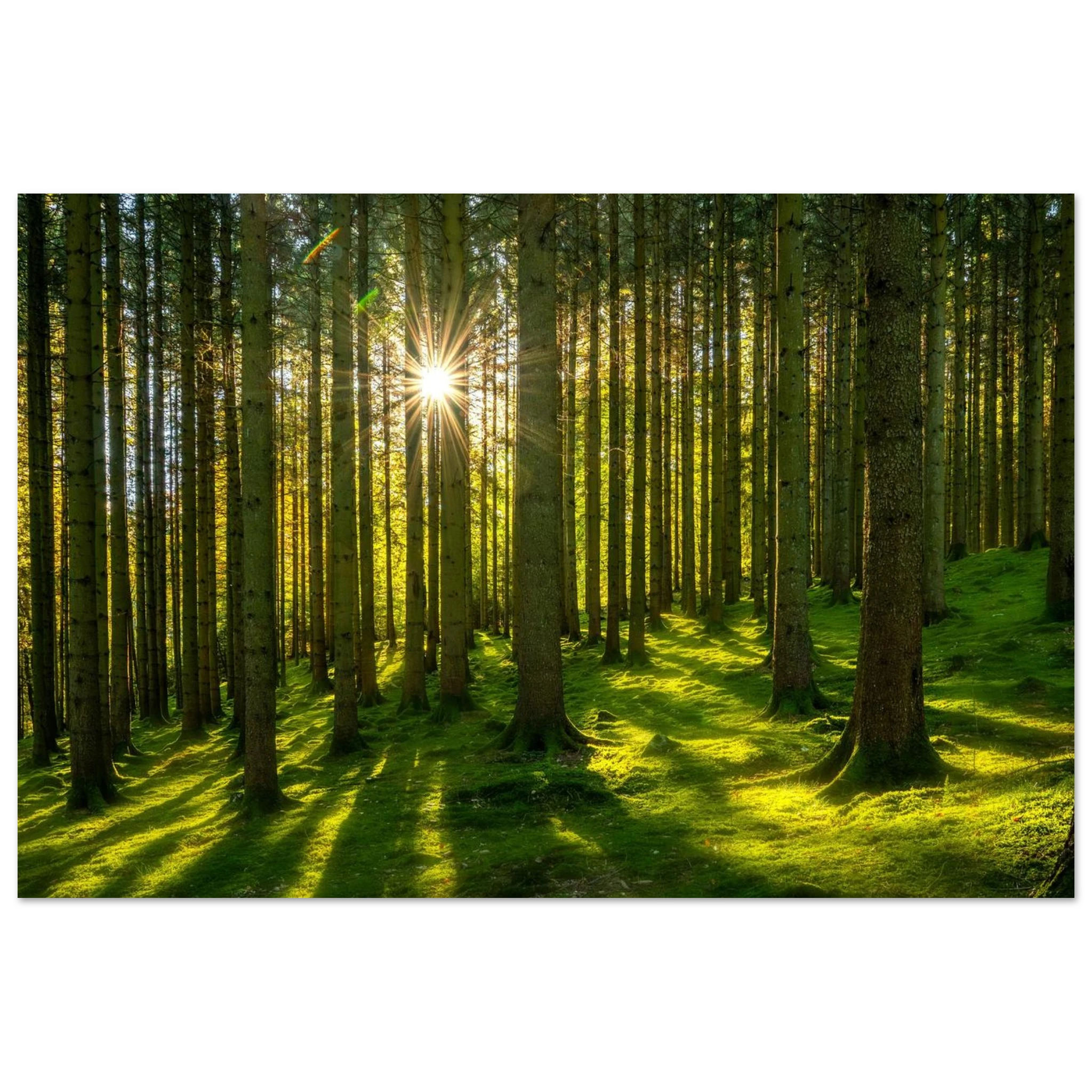 602deb51-e167-41cc-9d59-35e01fc42abc