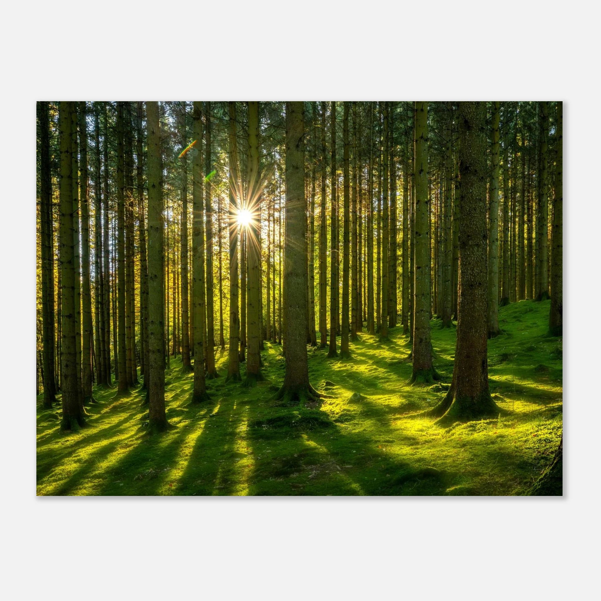 6abf760e-db1e-4299-bf01-a72b1f652ce8