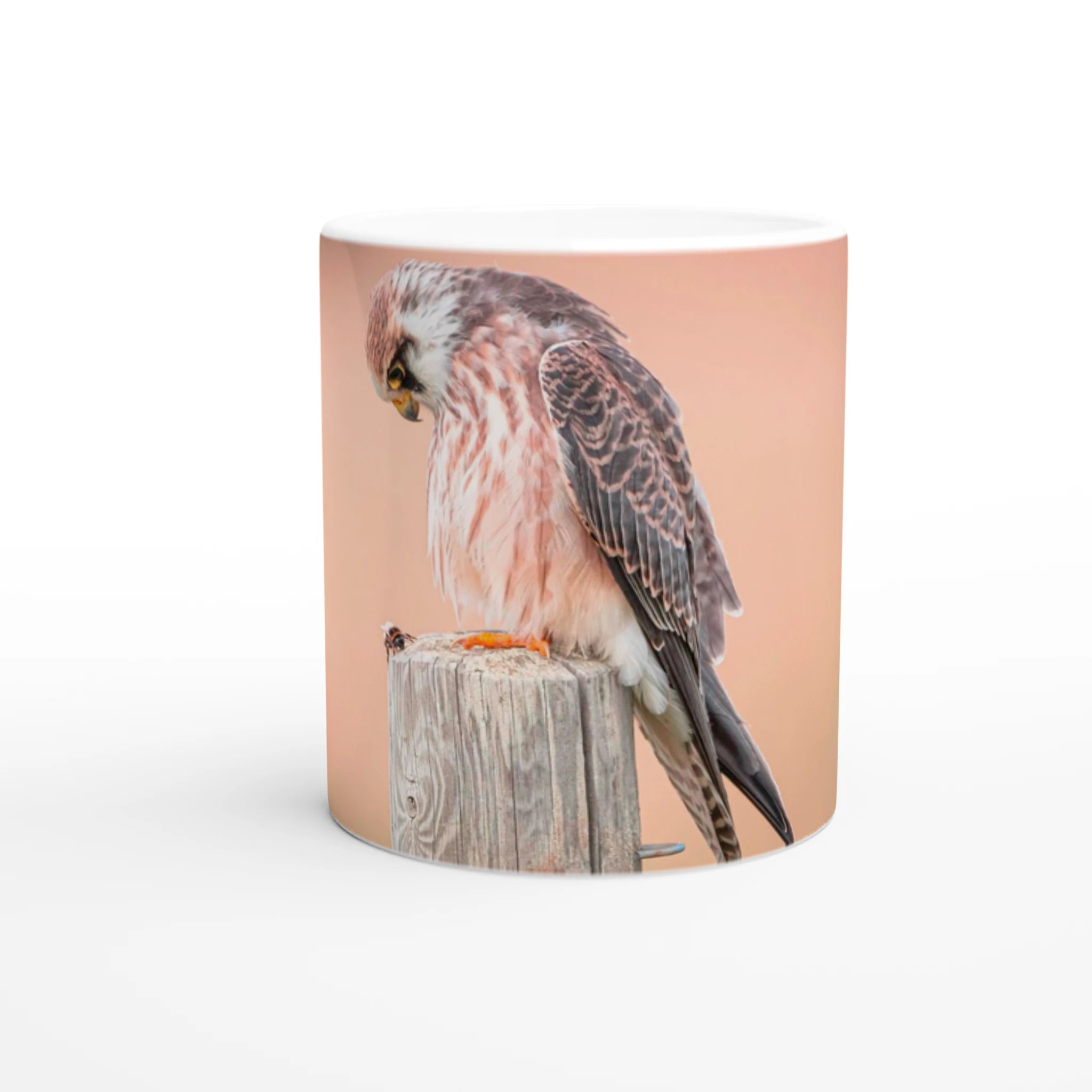 7391bf39-b56b-41df-b6a0-f1c71fc85e37