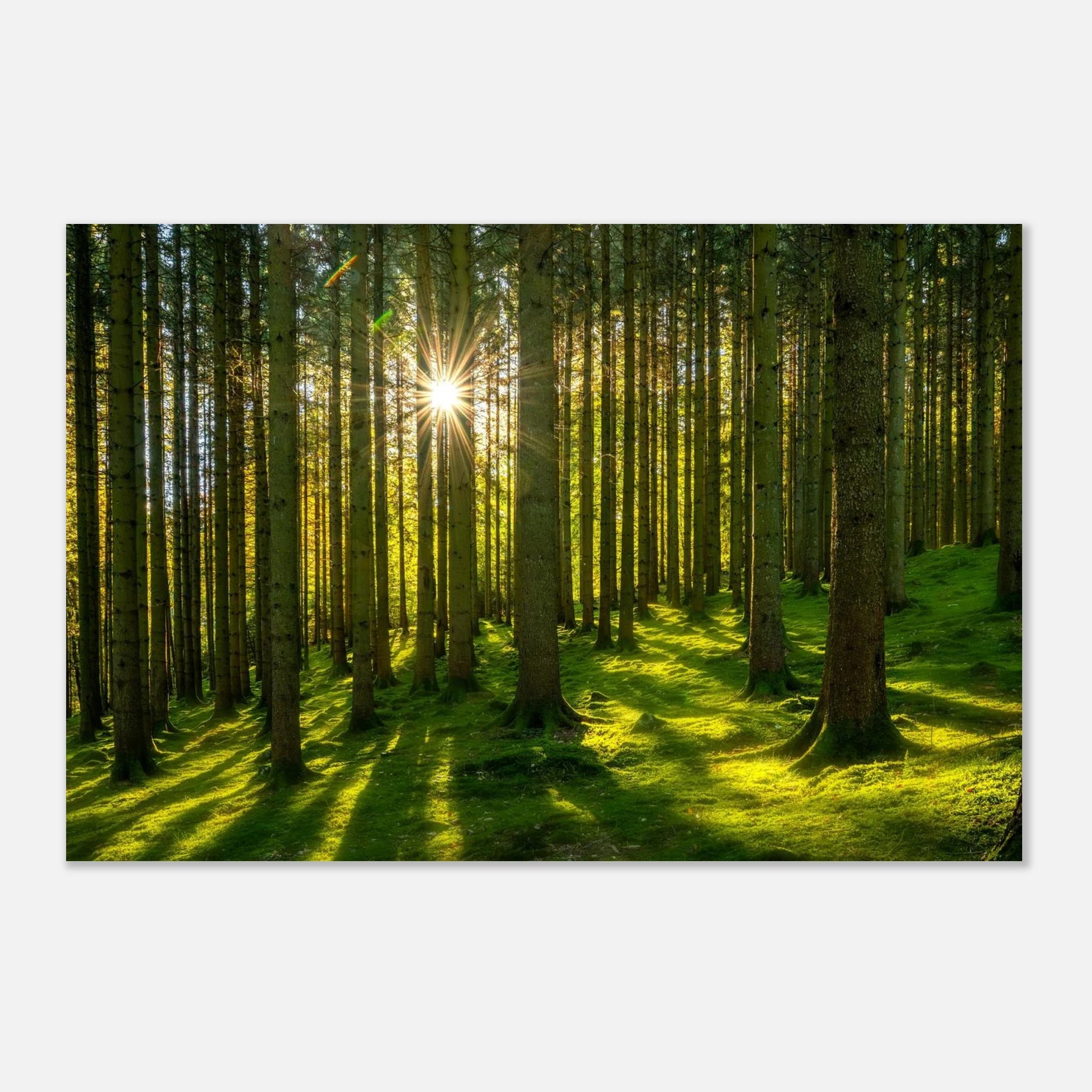 8280d71e-9bce-43b0-b364-62647b54af4a