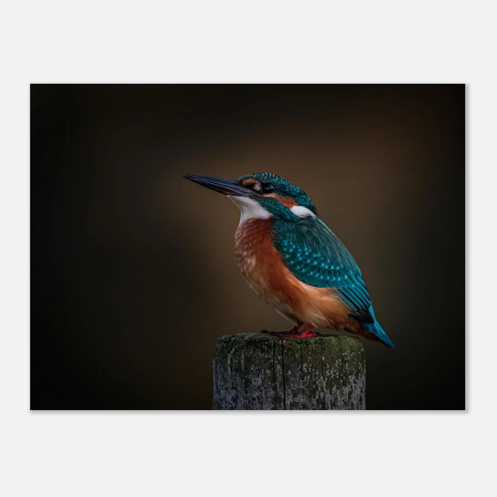 8c2c8ac1-bf74-46af-8516-de02c1e81a28