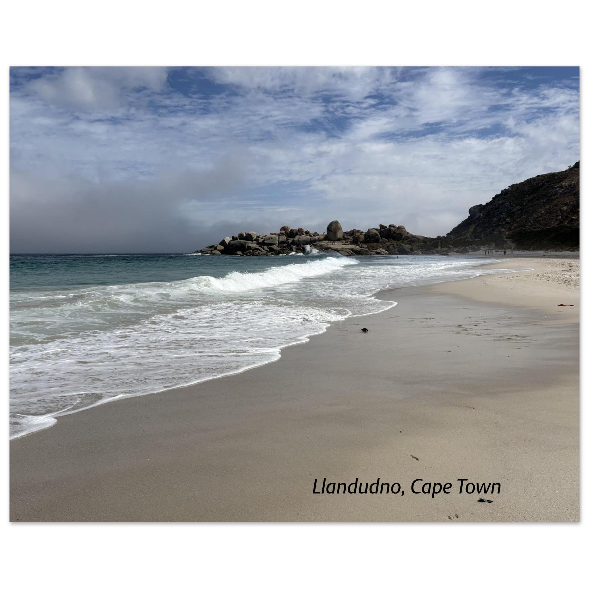 cb6511d8-dcdb-49db-a0e4-de1e773e5531