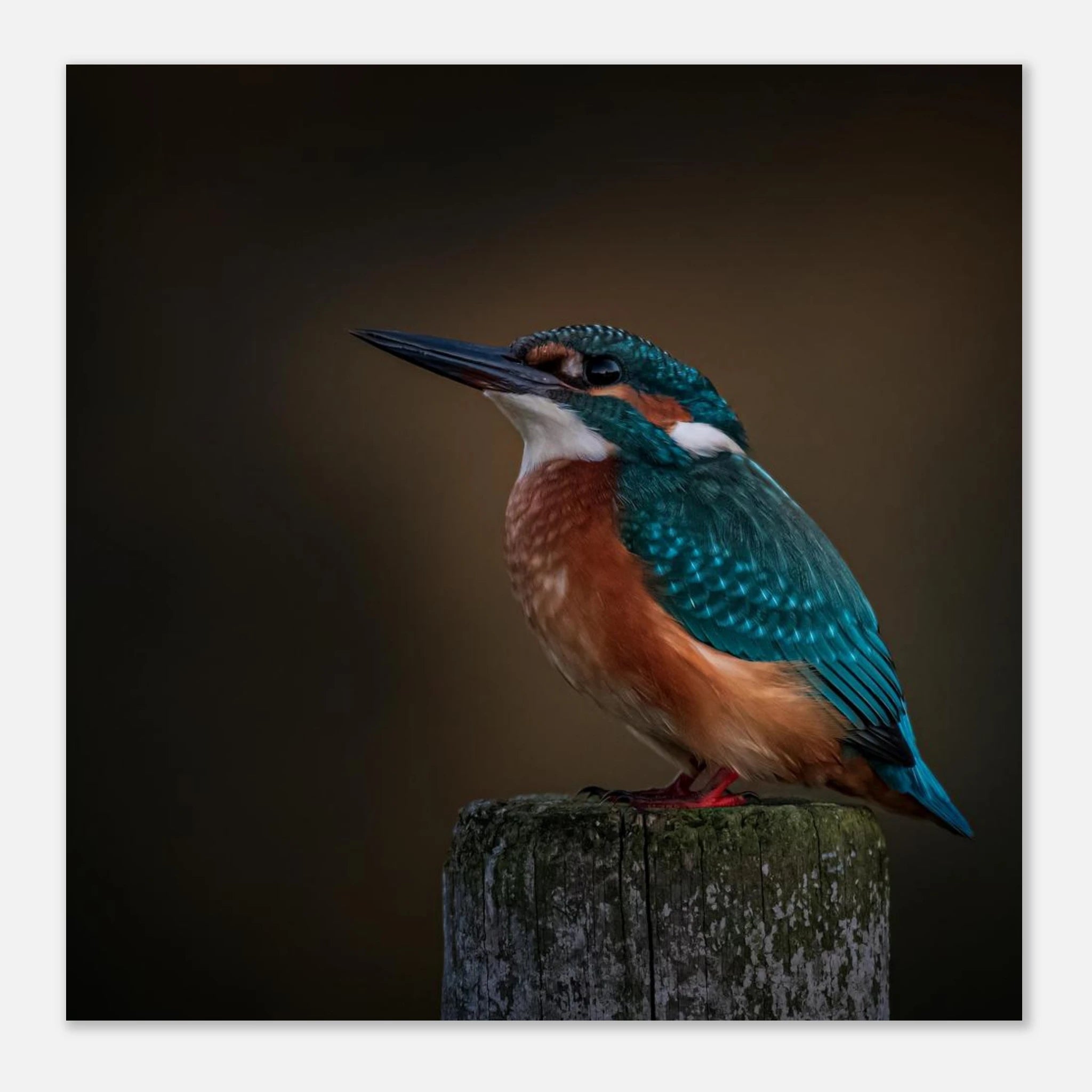 faf9f602-30ff-45c8-a3c8-b06a19c15078